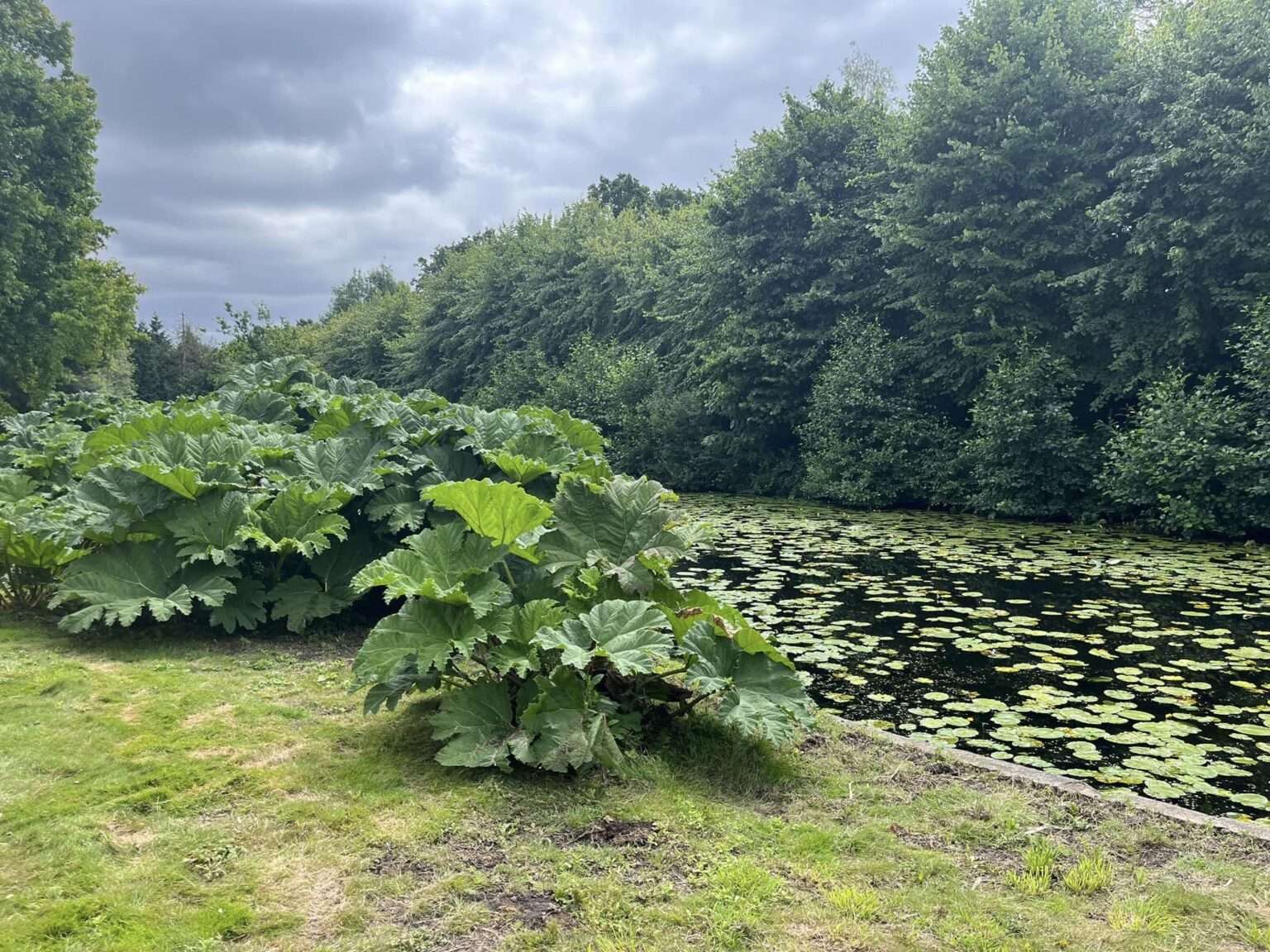 PILGRIMAGE TO SUFFOLK (21)